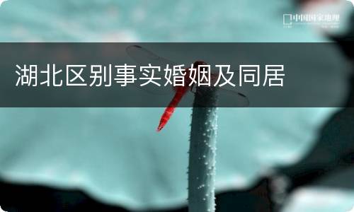 湖北区别事实婚姻及同居