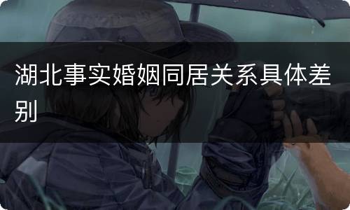 湖北事实婚姻同居关系具体差别