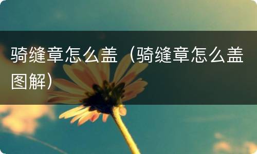 骑缝章怎么盖（骑缝章怎么盖图解）