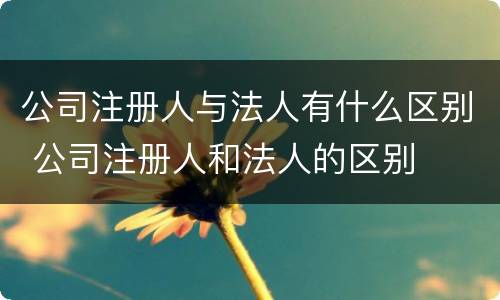 公司注册人与法人有什么区别 公司注册人和法人的区别