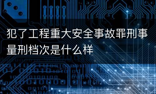 犯了工程重大安全事故罪刑事量刑档次是什么样