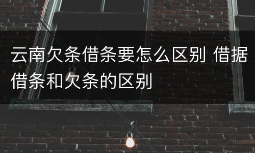 云南欠条借条要怎么区别 借据借条和欠条的区别