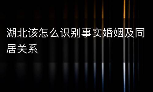 湖北该怎么识别事实婚姻及同居关系