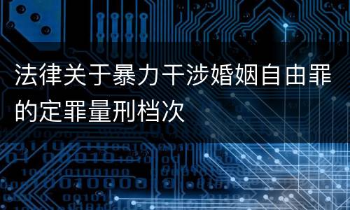 法律关于暴力干涉婚姻自由罪的定罪量刑档次