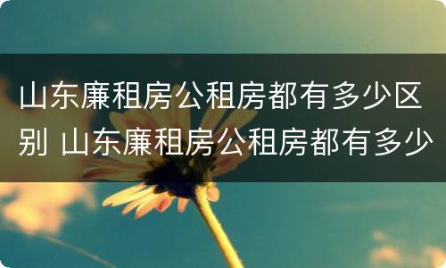 山东廉租房公租房都有多少区别 山东廉租房公租房都有多少区别啊
