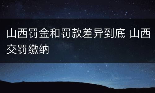 山西罚金和罚款差异到底 山西交罚缴纳