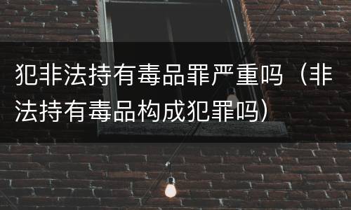 犯非法持有毒品罪严重吗（非法持有毒品构成犯罪吗）