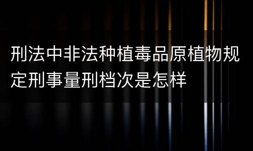 刑法中非法种植毒品原植物规定刑事量刑档次是怎样