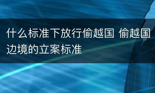 什么标准下放行偷越国 偷越国边境的立案标准