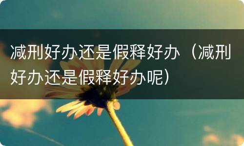 减刑好办还是假释好办（减刑好办还是假释好办呢）