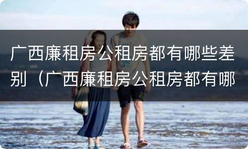 广西廉租房公租房都有哪些差别（广西廉租房公租房都有哪些差别呢）
