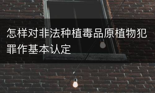 怎样对非法种植毒品原植物犯罪作基本认定