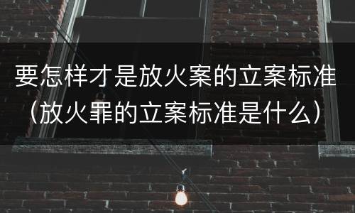要怎样才是放火案的立案标准（放火罪的立案标准是什么）