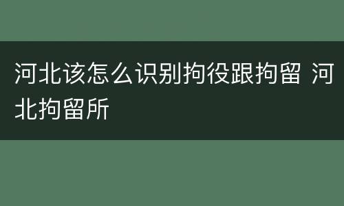 河北该怎么识别拘役跟拘留 河北拘留所
