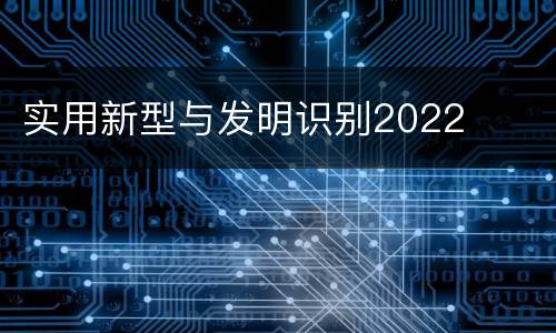 实用新型与发明识别2022