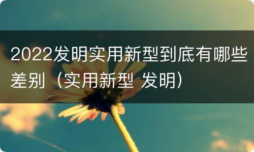 2022发明实用新型到底有哪些差别（实用新型 发明）