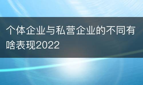 个体企业与私营企业的不同有啥表现2022