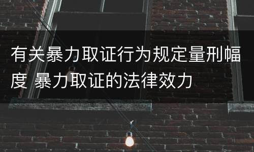 有关暴力取证行为规定量刑幅度 暴力取证的法律效力