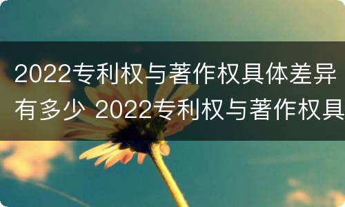 2022专利权与著作权具体差异有多少 2022专利权与著作权具体差异有多少种