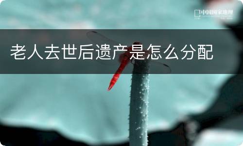 老人去世后遗产是怎么分配