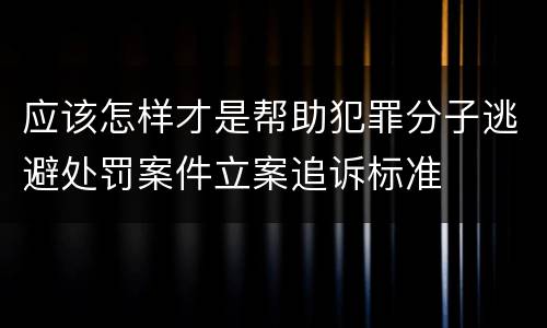 应该怎样才是帮助犯罪分子逃避处罚案件立案追诉标准
