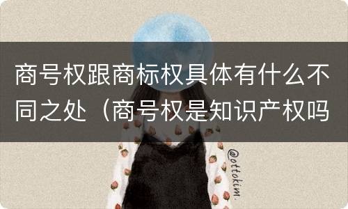 商号权跟商标权具体有什么不同之处（商号权是知识产权吗）