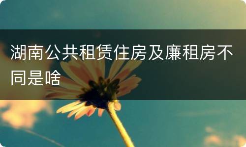 湖南公共租赁住房及廉租房不同是啥