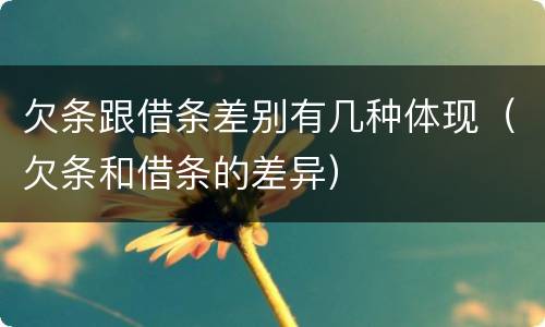 欠条跟借条差别有几种体现（欠条和借条的差异）