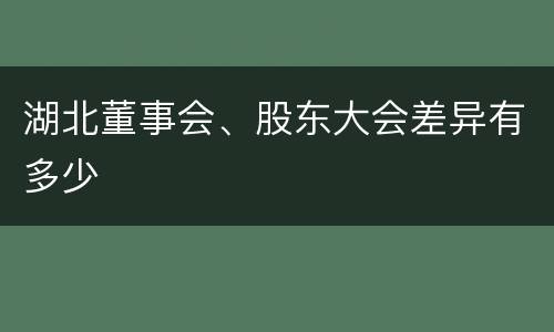 湖北董事会、股东大会差异有多少