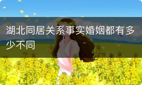 湖北同居关系事实婚姻都有多少不同