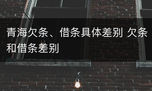 青海欠条、借条具体差别 欠条和借条差别
