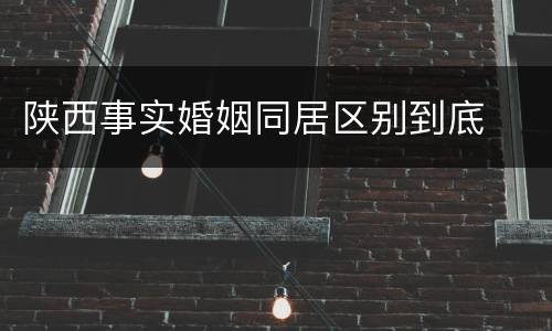 陕西事实婚姻同居区别到底