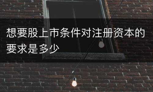 想要股上市条件对注册资本的要求是多少