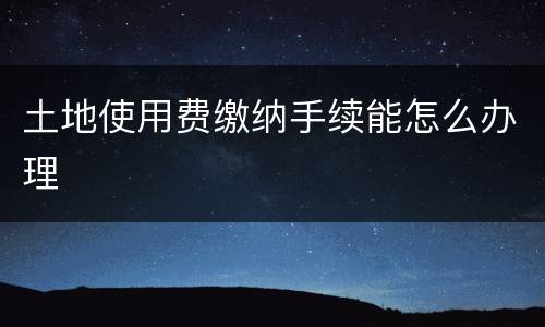 土地使用费缴纳手续能怎么办理