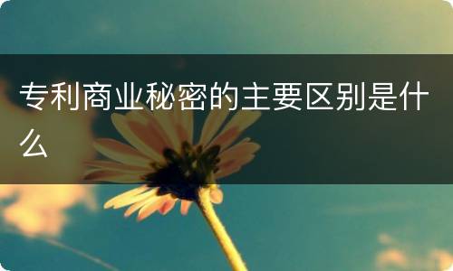 专利商业秘密的主要区别是什么