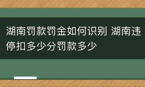 湖南罚款罚金如何识别 湖南违停扣多少分罚款多少