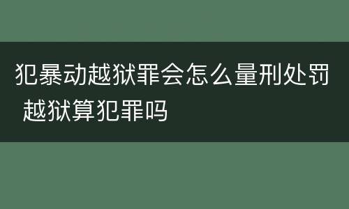 犯暴动越狱罪会怎么量刑处罚 越狱算犯罪吗