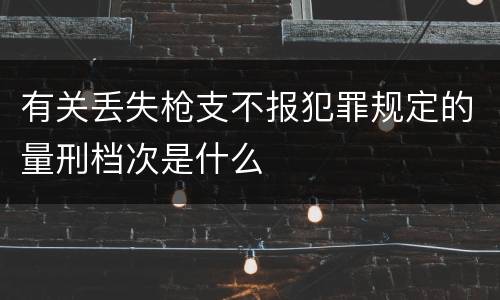 有关丢失枪支不报犯罪规定的量刑档次是什么