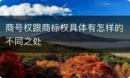 商号权跟商标权具体有怎样的不同之处