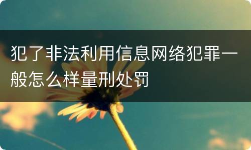 犯了非法利用信息网络犯罪一般怎么样量刑处罚