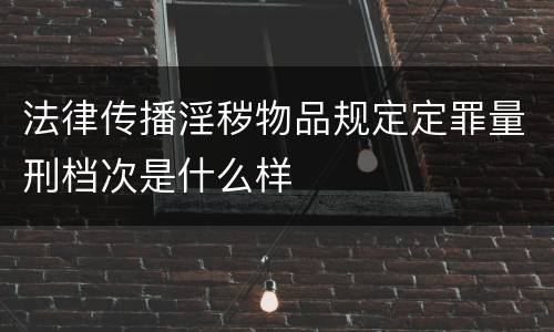 法律传播淫秽物品规定定罪量刑档次是什么样