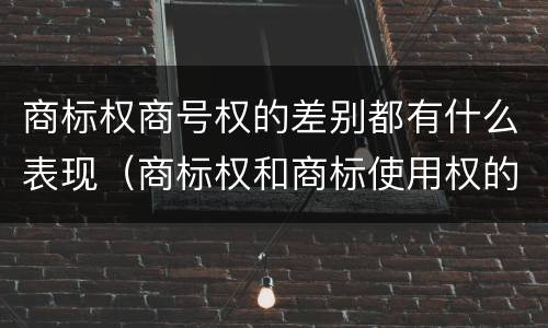 商标权商号权的差别都有什么表现（商标权和商标使用权的区别）