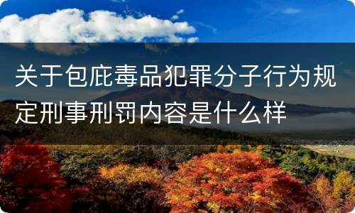 关于包庇毒品犯罪分子行为规定刑事刑罚内容是什么样