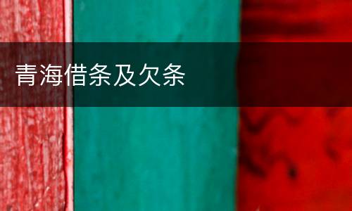 青海借条及欠条