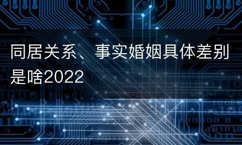 同居关系、事实婚姻具体差别是啥2022