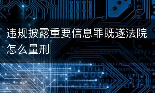 违规披露重要信息罪既遂法院怎么量刑