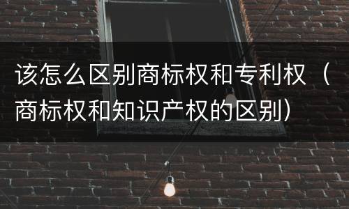 该怎么区别商标权和专利权（商标权和知识产权的区别）