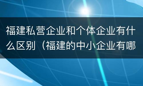福建私营企业和个体企业有什么区别（福建的中小企业有哪些）