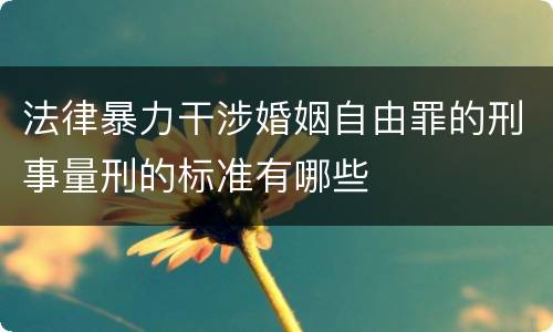 法律暴力干涉婚姻自由罪的刑事量刑的标准有哪些