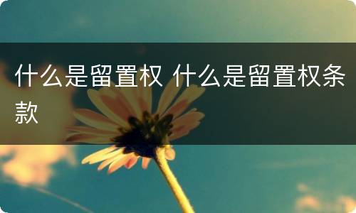 什么是留置权 什么是留置权条款
